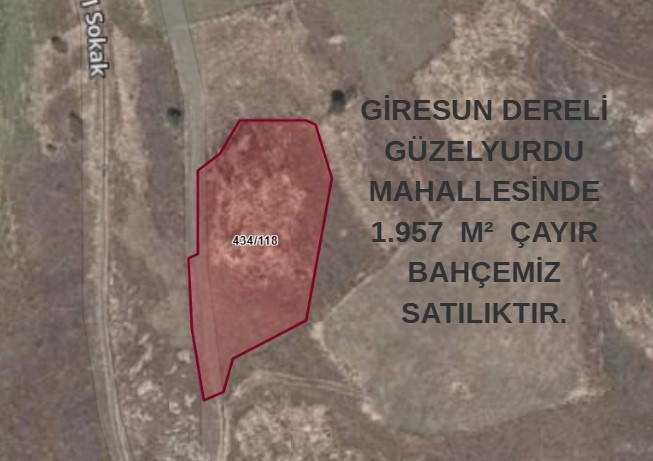  DERELİ GÜZELYURDU MAH 1.957  M²  ÇAYIR BAHÇEMİZ SATILIKTIR. - GİRESUN DERELİ fotoğraf 6